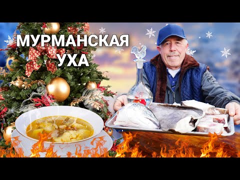 Видео: МУРМАНСКАЯ УХА - ТРЕСКА, ЗУБАТКА, ПАЛТУС, на БУЛЬОНЕ с ШАФРАНОМ в КАЗАНЕ на КОСТРЕ.