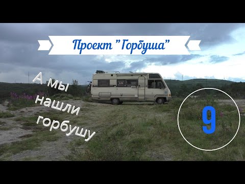 Видео: Мы такого никогда не видели!!!