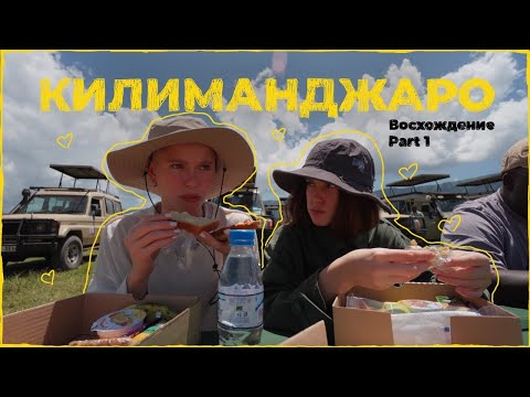 Видео: ТАНЗАНИЯ/ ПОДГОТОВКА К ВОСХОЖДЕНИЮ НА КИЛИМАНДЖАРО / САФАРИ НА ДЖИПАХ