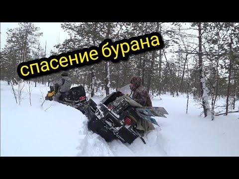 Видео: СПАСЕНИЕ БУРАНА #ТАЙГАХМАО