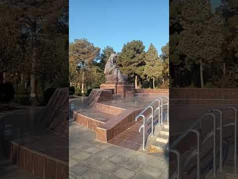 Видео: 5 ноября 2025 г.