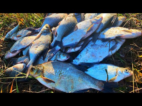 Видео: рыбалка с ночевкой на две ночи