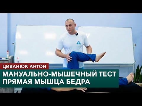 Видео: Мануально-мышечное тестирование. Прямая мышца бедра. Подвздошно-поясничная мышца. Циванюк А.В.
