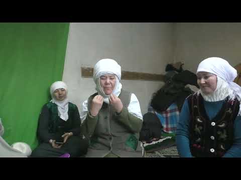 Видео: Ұлттың сәждесі қазақтың тегін жаңғыртып болашақ жобасын меңгерумен Ғылым мектебінен