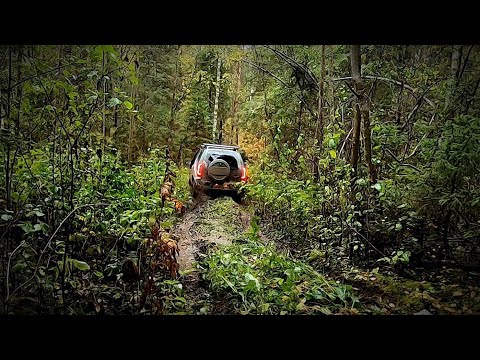 Видео: ЛАДА Нива ТРЕВЕЛ. Боевой ВЫЕЗД в ЛЕС...