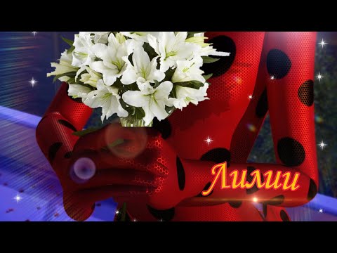 Видео: Клип Леди Баг и Супер Кот - "Лилии" | Заказной