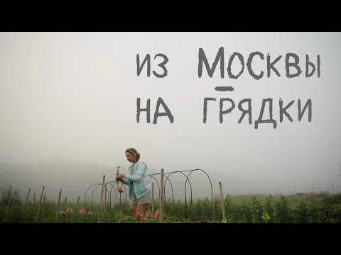 Видео: Из Москвы - на грядки