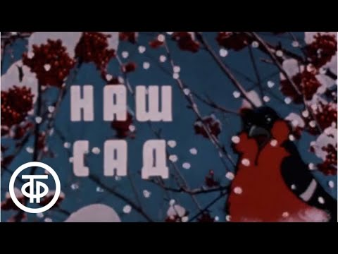 Видео: Наш сад. Огород на окне. Витамины зимой (1985)