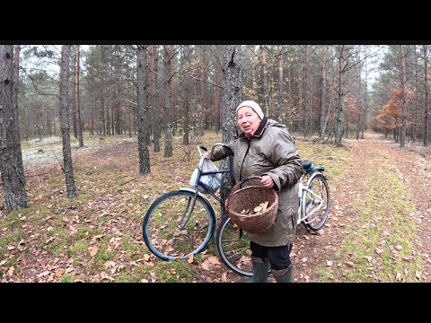 Видео: Чоловік сміявся - у нього повно грибів, а моя корзина порожня, але й до мене прийшла удача!😃😃😃