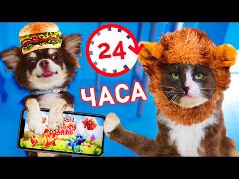 Видео: 24 ЧАСА В ИГРЕ ЧЕЛЛЕНДЖ ГЛАЗАМИ КОШКИ И СОБАКИ!