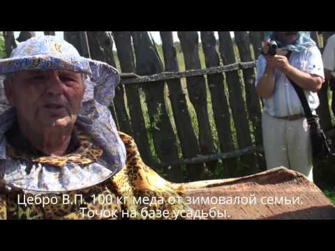 Видео: Цебро В.П. 100кг меда от зимовавшей семьи. Точок на базе усадьбы. Фильм 3.