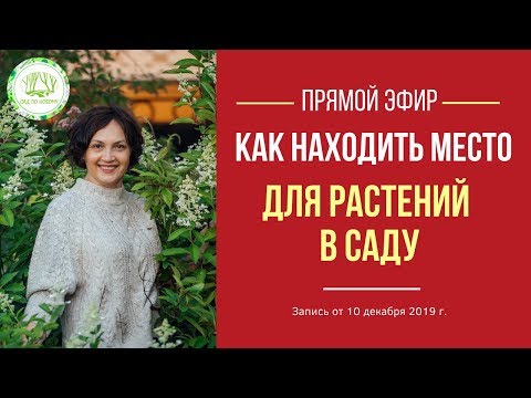 Видео: Как найти место для растений в саду