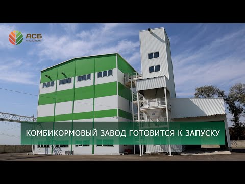 Видео: Уборка подсолнечника/Уборка кукурузы/Подготовка комбикормового завода к запуску/Новое производство