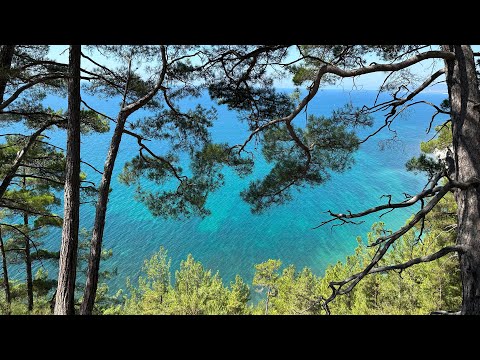 Видео: Геленджик: Голубая бездна ❤️