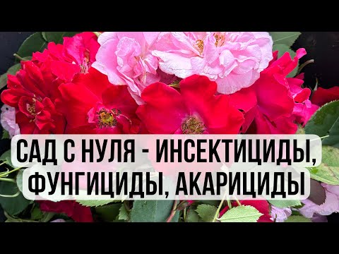 Видео: Сад с нуля - средства защиты растений (СЗР)