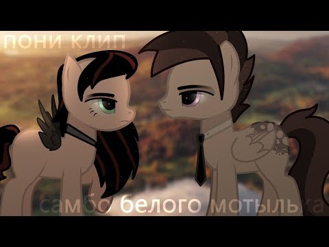 Видео: . °•.Самба белого мотылька. °• .