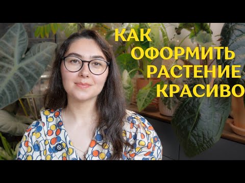 Видео: ПОДБОР горшка и ОПОРЫ | КАК я СТИЛИЗУЮ комнатные РАСТЕНИЯ | ЭСТЕТИЧНОЕ оформление РАСТЕНИЙ🪴