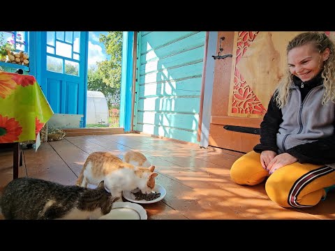 Видео: Вёска приютит всех! Как живёт семья на окраине деревни Беларуси!?