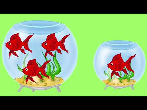 Видео: Заняття сенсорика для  дітей раннього віку на тему: "Рибалки та рибки"