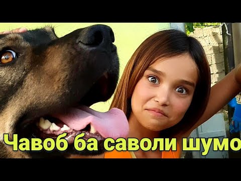 Видео: ДИЛАФРУЗ ДУХТАРИ КИСТ?/КАРИБ ХУШМОН РАФТ БАРОИ АЙФОН🇹🇯11.07.22