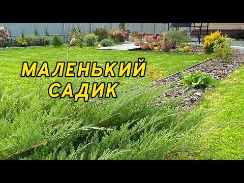 Видео: В САДУ УЖЕ НЕТ МЕСТА, но я все равно САЖАЮ! Новинки в саду! Первые заморозки!