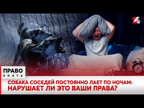 Видео: Собака соседей постоянно лает по ночам: нарушает ли это ваши права? | Право знать