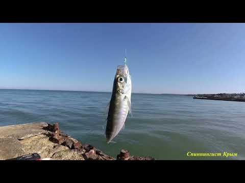 Видео: Морская рыбалка. Ставрида на самодур.