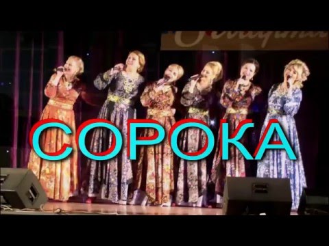 Видео: СОРОКА