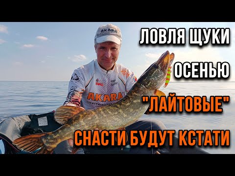 Видео: Ловля щуки осенью. "Лайтовые" снасти тоже будут кстати.