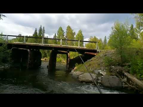 Видео: ловля хариуса на малой речке