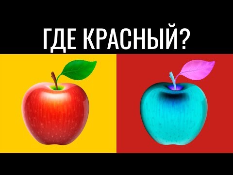 Видео: ТОЛЬКО ГЕНИЙ ПРОЙДЕТ ЭТОТ ТЕСТ ЗА 20 СЕКУНД (95% фейлят) / БУДЬ В КУРСЕ TV