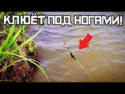 Видео: ПРОСТАЯ СНАСТЬ СРАБОТАЛА! Закинул Под Обрыв и НАЧАЛСЯ УЖАС! Рыбалка в Июле 2025