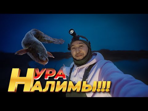 Видео: Река Нура близ Тайтобе / ночная рыбалка в ноябре / Налимы 01.11.2025