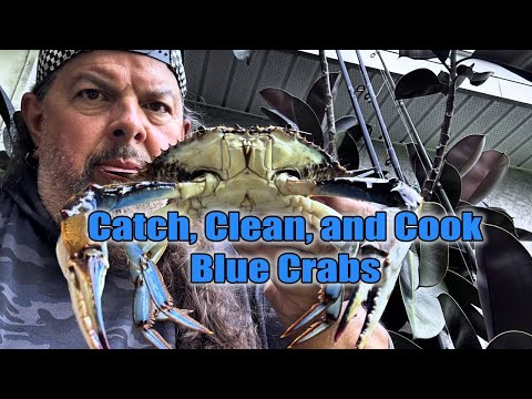 Видео: Поймай, почисти и приготовь. Синие крабы