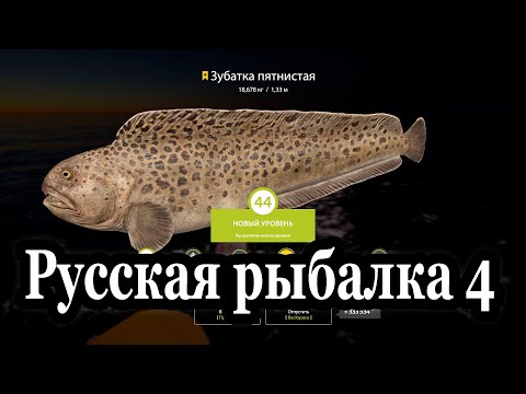 Видео: Русская рыбалка 4 Фарм на норвежском море 80 банка