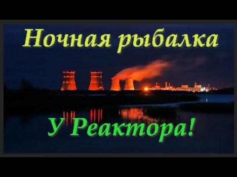 Видео: Отличный Клёв Сомов и подлещика На АЭС(Удомля).Нашли Золото!!!Удомельская Рыбалка!