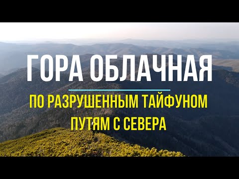 Видео: Гора Облачная. Подъем с севера в октябре 2022 после тайфуна Хиннамнор