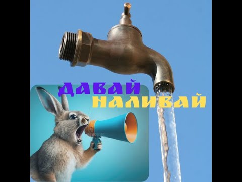 Видео: Вода в крольчатнику