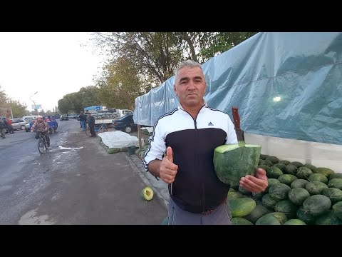 Видео: Мастчоҳ Ҷумъа бозори якум участка 11 10 24г