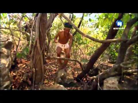 Видео: Поиски полковника Фосета
