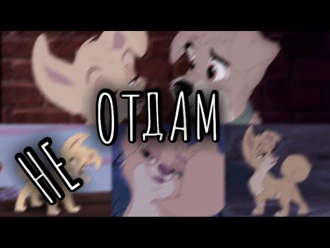 Видео: Леди и Бродяга 2: Клип "Не Отдам" заказ