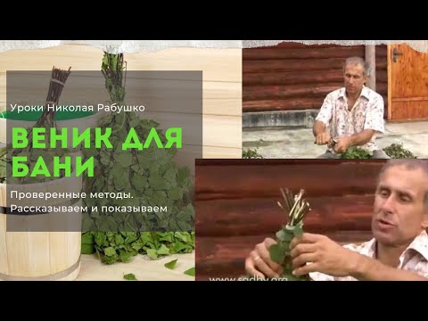 Видео: Как связать хороший веник для бани? Уроки Николая Рабушко.