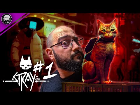 Видео: МЪРТВИЯТ ГРАД | Stray #1