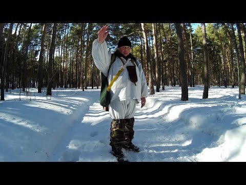 Видео: Лиса,гон манок 31- выпуск.