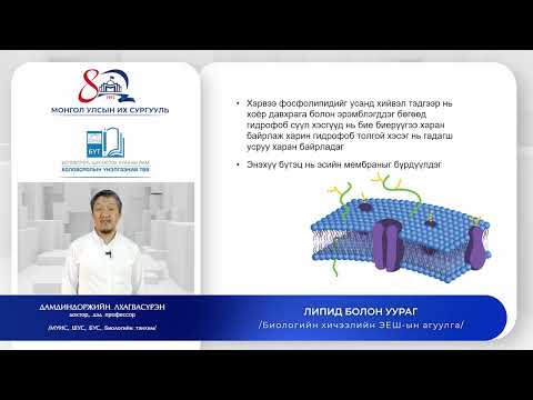 Видео: Биологи №4