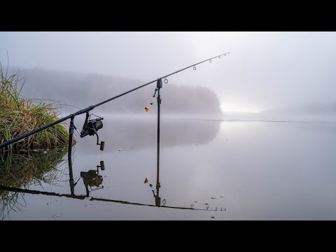 Видео: Карпфишинг ловля карпа в золотую осень