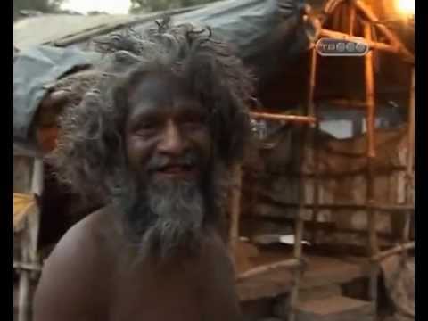 Видео: в поисках приключений Индия