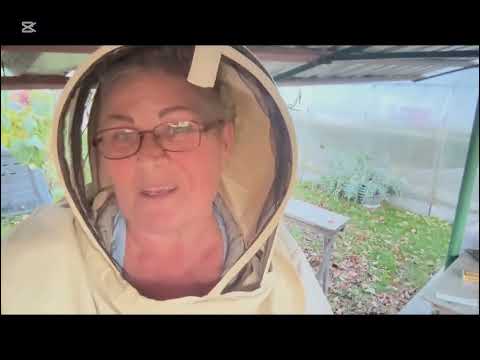 Видео: Дела огородные,лечение пчёл и ещё о продаже дома.