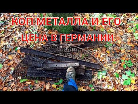 Видео: КОП металла в лесу. Цена металла в Германии.