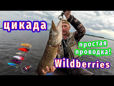Видео: Неожиданный монстр на крючке! Цикады с Wildberries за копейки! ЛОВЯТ!